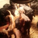 이천제이농장 이미지