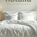 홍대 세탁 이미지