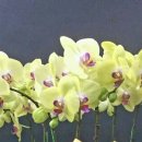 양천향교역 2번출구 이미지