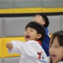 선 태권도 | 안양 태권도, 흰띠부터 빨간띠까지 10월 승급심사 성장 이야기