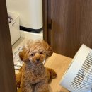 삼몬타나 트리플스트리트점 | 나의 생일이 이제야 끝나다