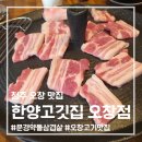 오창에서 먹은 문경 약돌삼겹살 맛집 "한양고깃집 오창점" 내돈내먹 맛있었던 후기