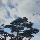 팔공산맥 이미지