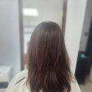 Lynn hair(린헤어)