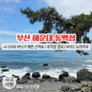 동백섬 | 부산 해운대 동백섬 / 부산 동백섬 산책 후기, 주차장 정보, 누리마루 APEC 하우스