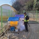 항도초 병설유치원 이미지