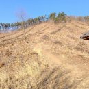 성왕산등산로 이미지