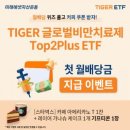 주식회사 영글로벌 이미지