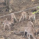 소쿠리섬1 이미지