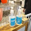 견우애견 이미지