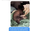 마이온리댕댕
