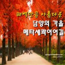담양여행