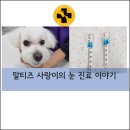 사랑플러스동물병원