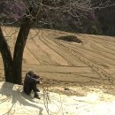 (주)좋은아침 이미지