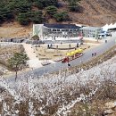 미선향테마파크 뉴스1