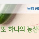 차상로18번길 이미지