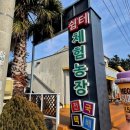 제주메가투어 이미지