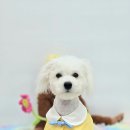 예쁜가위소리미용실