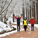 강천산군립공원 이미지