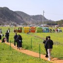 그냥 심심해서요. (27811) 삼척 맹방 유채꽃축제’ 이미지