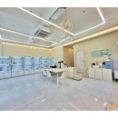 퍼피 라이프 이미지