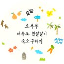 소부부 | [제주도] 소부부네 12월 제주도 한달살이 하러 가요:)-Part.1 숙소구하기