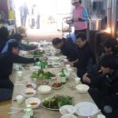 애향농장 Daum카페
