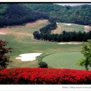 중부컨트리클럽 이미지