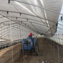 고건농장 이미지