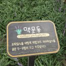 송림숲화장실 이미지