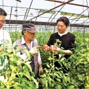 김인성농장 이미지