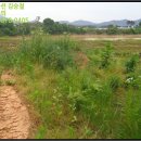 금계태양광발전소 이미지