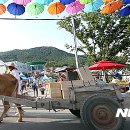 소달구지 - 거제시 | 소달구지