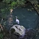 성샘목장 이미지