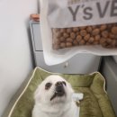 에이치 알 소프트 이미지