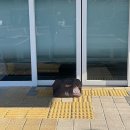 성주읍행정복지센터 이미지