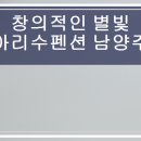 별빛아리수 이미지