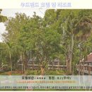 SWIM21어린이수영장 | 파타야 우드랜드 호텔 앤 리조트 솔직 후기! 인생 숙소 등극?