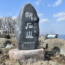 형제농장B 이미지