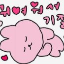 땡수네 이미지