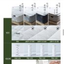 도담페밀리 이미지