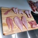 하림공장견학 HCR투어 후기 (익산 아이와 체험 갈만한 곳)