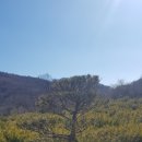 반송 Daum카페