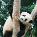 경인옛로22번길 이미지