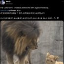 안웅기)T1은 최우제 선수가 T1 소속 선수였을때 템퍼링을 의심한적이 없었다 이미지