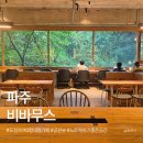 파주 신상 대형카페 비바무스 ｜ 도심 속 110평 반전 공원뷰, 운정 노트북 하기 좋은 곳