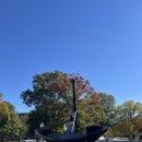 해군사관학교 박물관 | 미국 해군사관학교(Naval Academy) 견학 후기