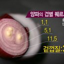초록마을목포