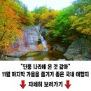 65년 만에 열린 비경. 100만 명 이상 다녀갔다는 동해 해안산책로 이미지