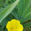 KICOX 벤처센터 이미지